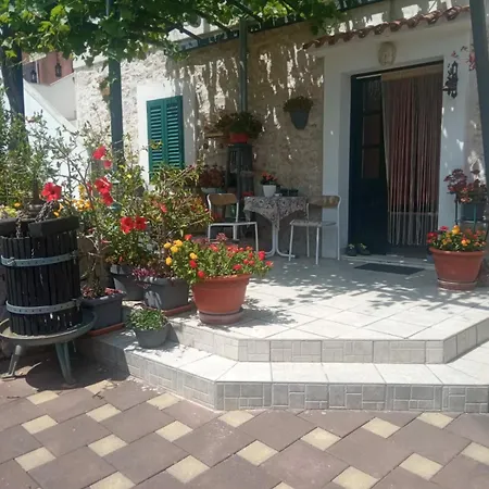 Apartman Apartment Vodice